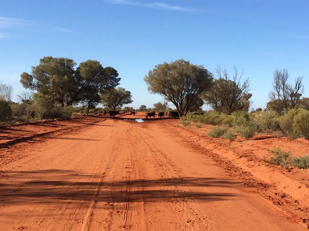 red road in Australian outback