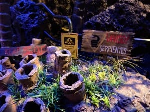 Signs About Snakes in front of Black Bart's cave