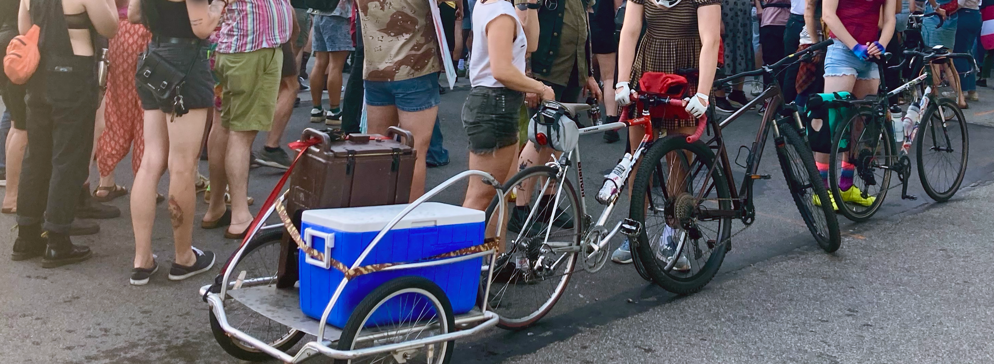 picture of the protest, and bikes lined up along the march route